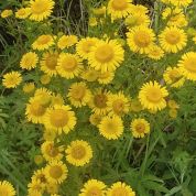 离婚纠纷中未成年子女抚养权归属问题刍议