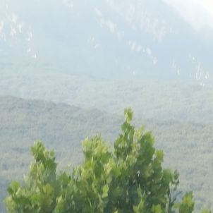 司法实践中，承包人转包、违法分包一般包括哪些情形，有关工程价