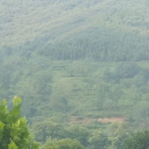 如何理解和把握《建工司法解释（一）》第1条第1款第3项规定