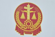浅析自力救济