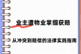 从冲突到赔偿的民法典实践指南
