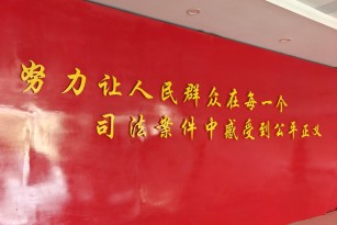 离婚诉讼中，一方为无民事行为能力人且没有其他成年近亲属怎么办