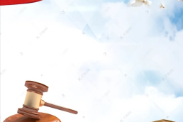 公司及破产清算纠纷