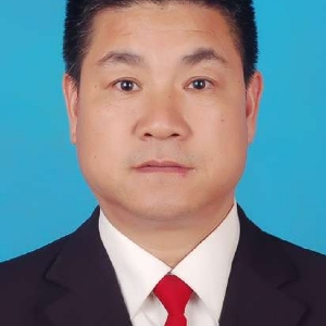 歹付卫