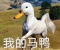 测试20260904