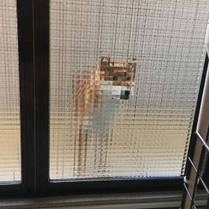 曹乐陶